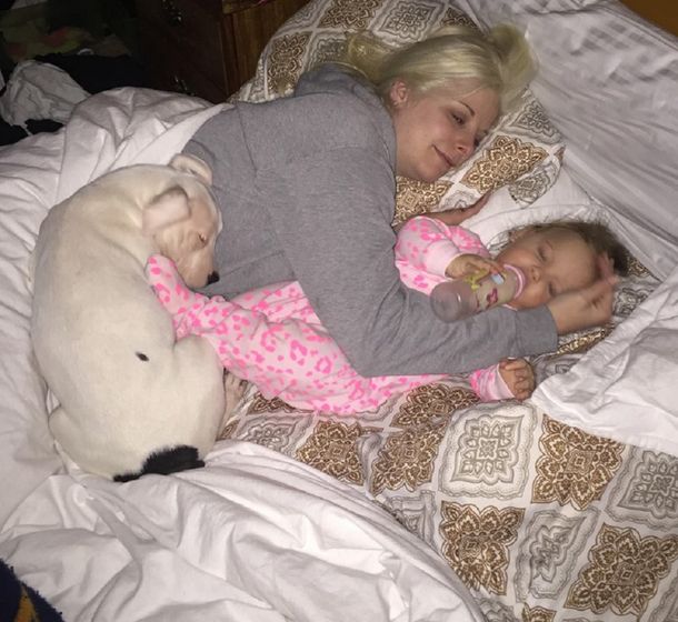 Un veterinario derritió la web con sus mimos a una perrita recién operada