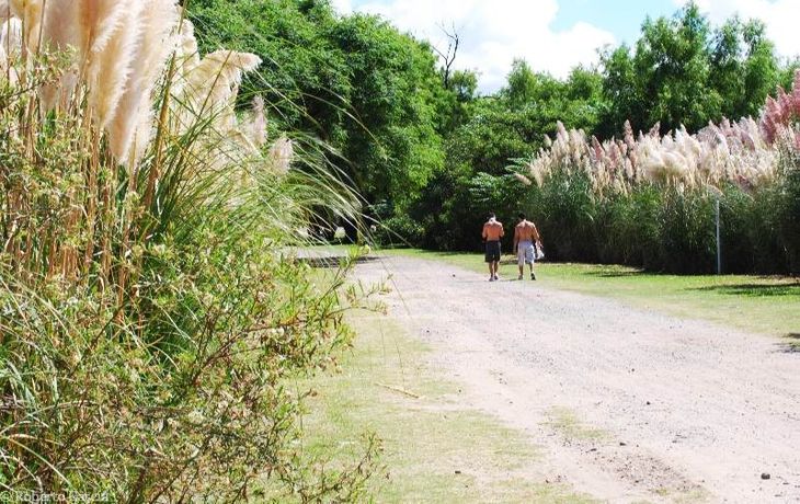 El macrismo busca destinar parte de la Reserva Ecológica para la basura