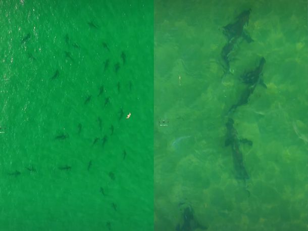 Captura del video de Maximiliano Facundo Cartes Salas.