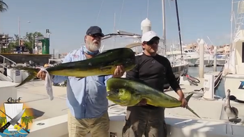 un pescador exhibia su trofeo y un lobo marino se lo robo un pescador exhibia su trofeo y un lobo marino se lo robo