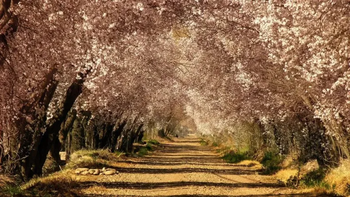 El lugar que tiene arquitectura colonial y que tiene actividades interesantes. El lugar que tiene arquitectura colonial y que tiene actividades interesantes.