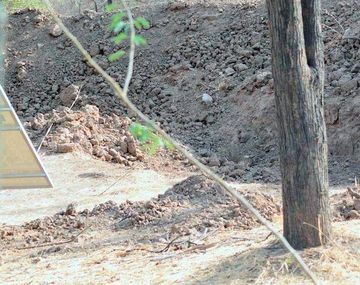 Viral: ¿dónde está el leopardo?