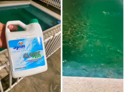 El truco casero para limpiar el agua de las piletas y que dejen de ser verde. El truco casero para limpiar el agua de las piletas y que dejen de ser verde.