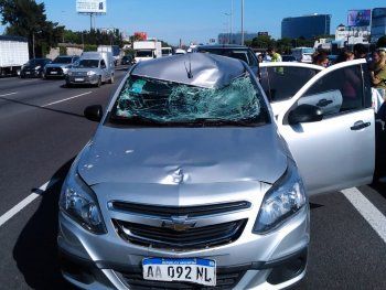 Robó un celular, quiso escapar cruzando la Panamericana y murió atropellado