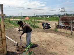 Provincia asegura que ocupantes se irán de tierras tomadas tras el censo