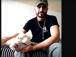 Historia conmovedora: perdió a su perro en un accidente vial y lo reencontró un mes después