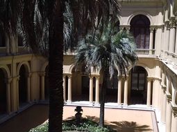 murio una de las palmeras del patio de la casa rosada murio una de las palmeras del patio de la casa rosada