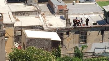 murio la hermana del lider de los monos: fue atacada a golpes en la carcel murio la hermana del lider de los monos: fue atacada a golpes en la carcel