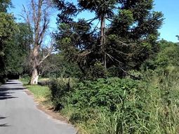 Lomas de Zamora: violaron a una mujer en la reserva Santa Catalina Lomas de Zamora: violaron a una mujer en la reserva Santa Catalina