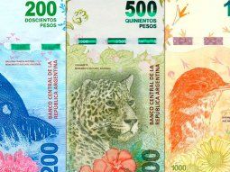 Fin de los animales y uno de mayor denominación: los cambios que se vienen en los billetes