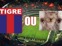 san pablo se burla del abandono de tigre san pablo se burla del abandono de tigre