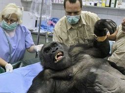 Los mejores memes por el control de cambios