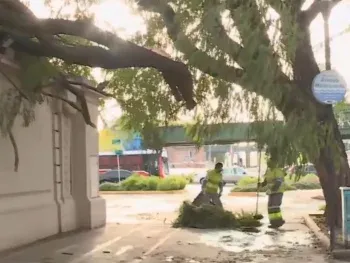 Así quedó el Hipódromo de Palermo tras la crecida del Río de la Plata