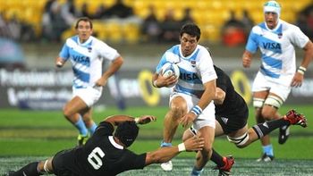 los pumas continuan octavos en el ranking mundial los pumas continuan octavos en el ranking mundial