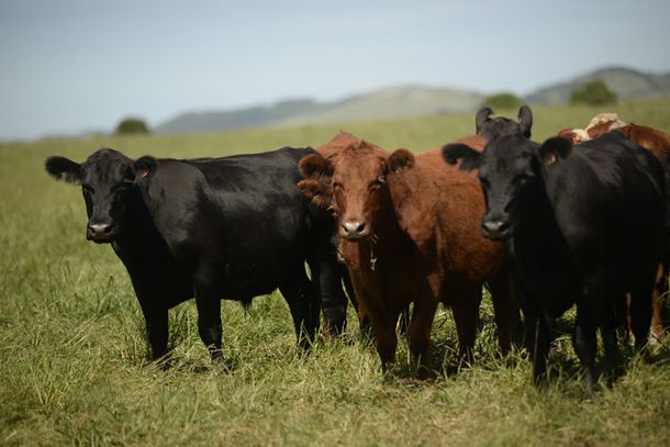 El Uruguay facturó un total de $2.711.752 de dolares en exportación.