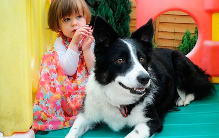 Por su perra, descubren que su hija tiene cáncer