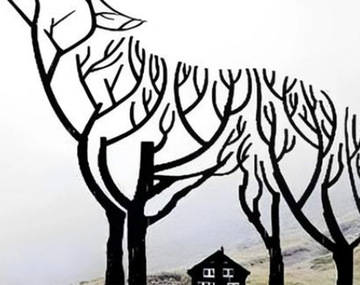 Test viral: descubrí si sos o no un líder según lo primero que veas en la imagen