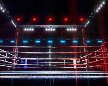 ¿Quién es el boxeador que más dinero ganó en la historia?