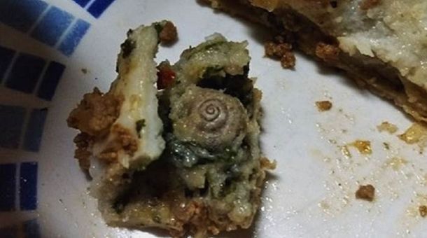 El residente del hospital de Bahía Blanca encontró un caracol en la comida
