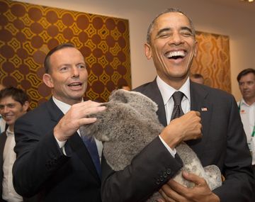 Los koalas se metieron en la cumbre del G20 en Australia
