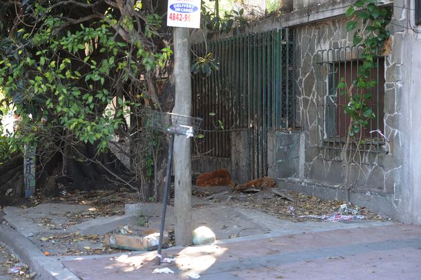 Detuvieron en Palermo a la mujer que asesinó a su vecina en Villa Bosch