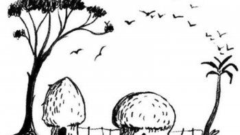 ¿que es lo primero que ves? la respuesta revela rasgos de tu personalidad ¿que es lo primero que ves? la respuesta revela rasgos de tu personalidad