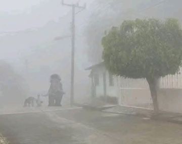 Memes bajo cero: estallaron las redes sociales ante la nieve