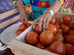 El tomate y su posible importación debido a un faltante fue el debate de la semana. El tomate y su posible importación debido a un faltante fue el debate de la semana.