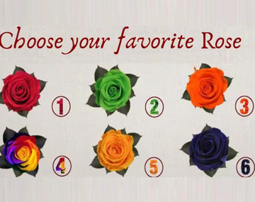 Test viral: descubrí cómo sos realmente según la rosa que elijas