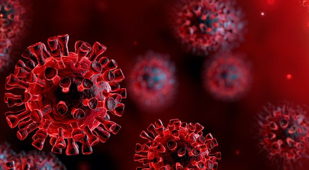 En Argentina avanza la b&uacute;squeda de la cura al coronavirus