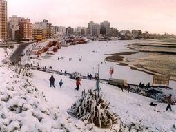 Nieve mardel