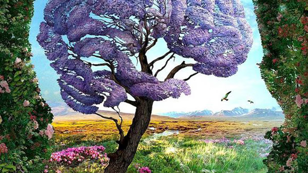 &nbsp;Descubrí tu esencia según lo primero que veas