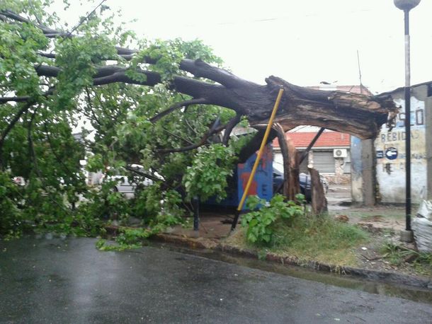 Mirá las imágenes y los videos del fuerte temporal que azotó a la provincia de Buenos Aires