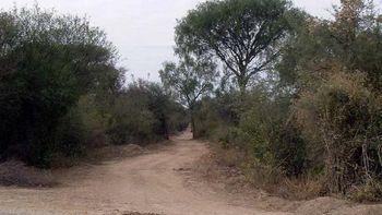 la odisea de dos nenes que salieron a cazar pajaritos y se perdieron en un monte la odisea de dos nenes que salieron a cazar pajaritos y se perdieron en un monte