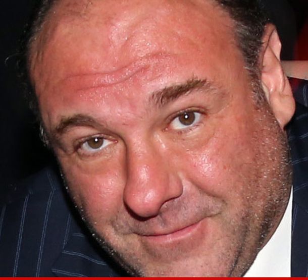 ¿A quién le dejó James Gandolfini su millonaria herencia?