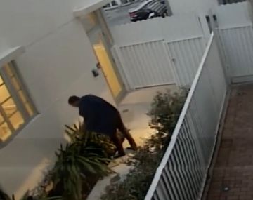 Mató a un gato con una ballesta&nbsp;