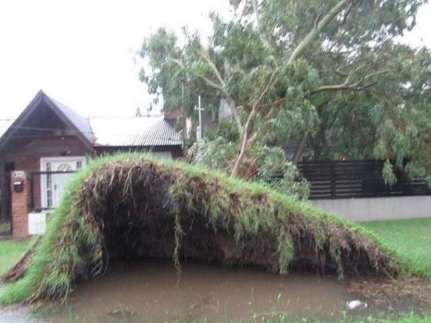 El fuerte temporal en las provincias de Córdoba y Santa Fe causó inundaciones