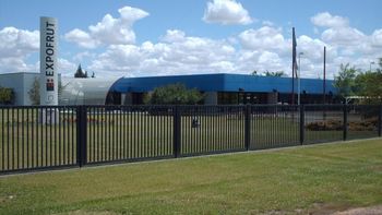 La empresa belga Expofrut anunció la reducción de sus operaciones en el país La empresa belga Expofrut anunció la reducción de sus operaciones en el país