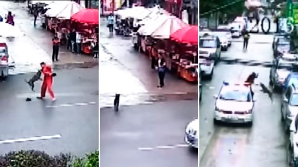 VIDEO: Un perro furioso atacó a 23 personas en un centro comercial chino