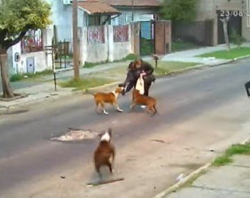 Feroz ataque de perros a una mujer en San Martín