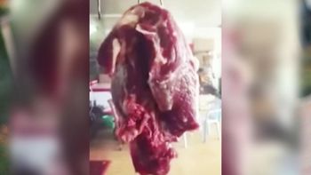 Trozo de carne pareciera cobrar vida Trozo de carne pareciera cobrar vida