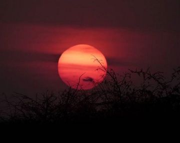 La Luna de sangre capturada por&nbsp;@wonderful_g&nbsp;en Tanzania