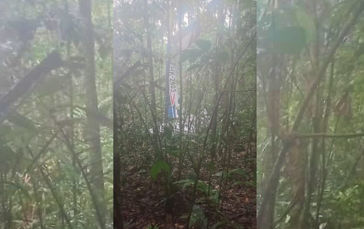 Encontraron a 4 niños que quedaron perdidos en la selva tras un accidente aéreo