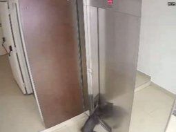 Milagro en Villa Crespo: un vecino salvó a un perro de morir estrangulado