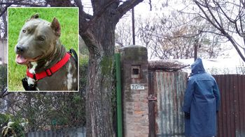 Foto ilustrativa. Foto ilustrativa.