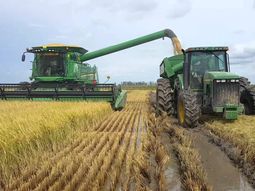 productores arroceros acceden a tasas preferenciales del brou para comprar maquinaria productores arroceros acceden a tasas preferenciales del brou para comprar maquinaria