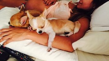 Lourdes Sanchez muestra cómo se mueve su panza. Lourdes Sanchez muestra cómo se mueve su panza.