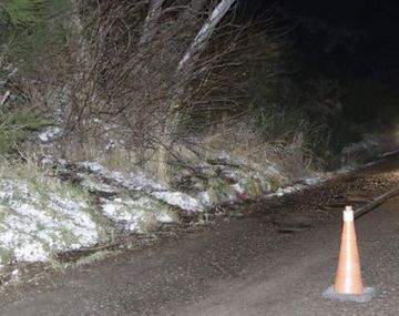 Ataron a dos chicas a un árbol - Crédito: lmneuquen.com/Federico Soto