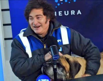 Milei llamó imbécil y primate a Manguel y celebró el ataque a Mengolini