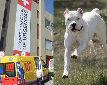 Estremecedor: dos perros dogos mataron a una adolescente en Córdoba